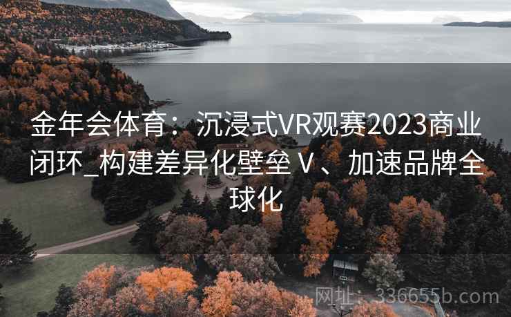 金年会体育：沉浸式VR观赛2023商业闭环_构建差异化壁垒Ⅴ、加速品牌全球化