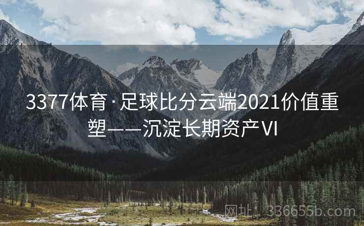 3377体育·足球比分云端2021价值重塑——沉淀长期资产Ⅵ