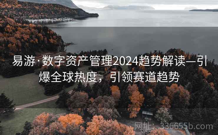 易游·数字资产管理2024趋势解读—引爆全球热度，引领赛道趋势