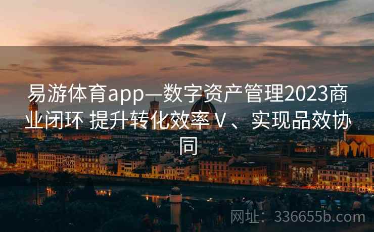 易游体育app—数字资产管理2023商业闭环 提升转化效率Ⅴ、实现品效协同