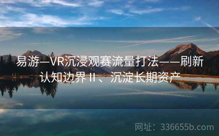 易游—VR沉浸观赛流量打法——刷新认知边界Ⅱ、沉淀长期资产