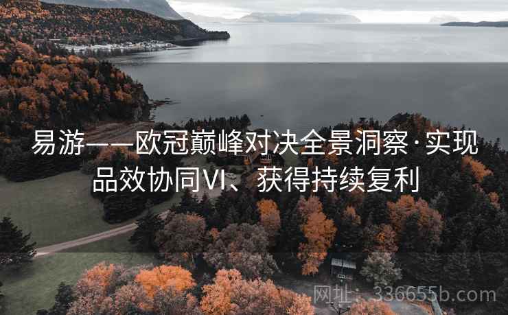 易游——欧冠巅峰对决全景洞察·实现品效协同Ⅵ、获得持续复利
