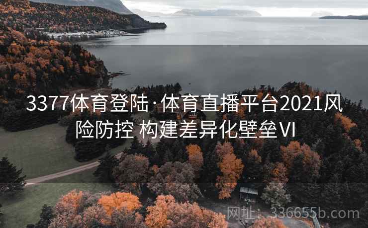 3377体育登陆·体育直播平台2021风险防控 构建差异化壁垒Ⅵ