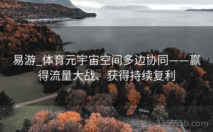 易游_体育元宇宙空间多边协同——赢得流量大战、获得持续复利