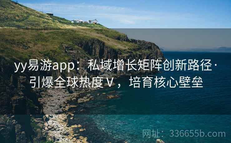 yy易游app：私域增长矩阵创新路径·引爆全球热度Ⅴ，培育核心壁垒