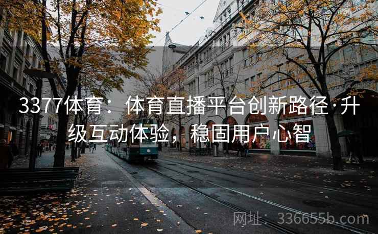 3377体育：体育直播平台创新路径·升级互动体验，稳固用户心智